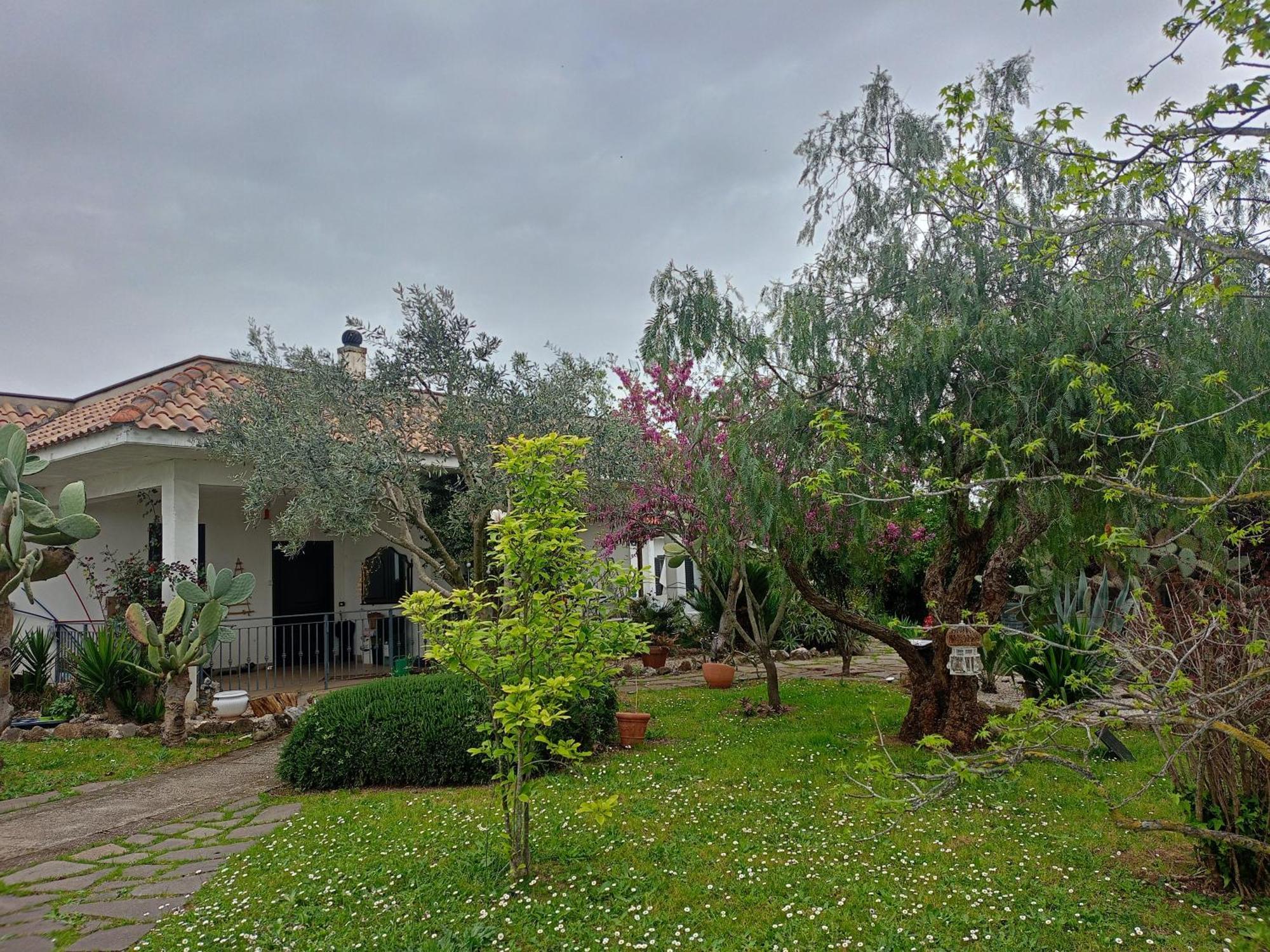 La Casa Di Fede Hotel Lanuvio Ngoại thất bức ảnh